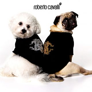 Roberto Cavalli Pet 2