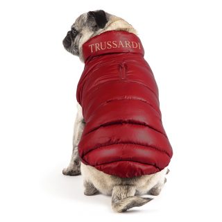 TRUSSARDI FOR YOUR DOG
